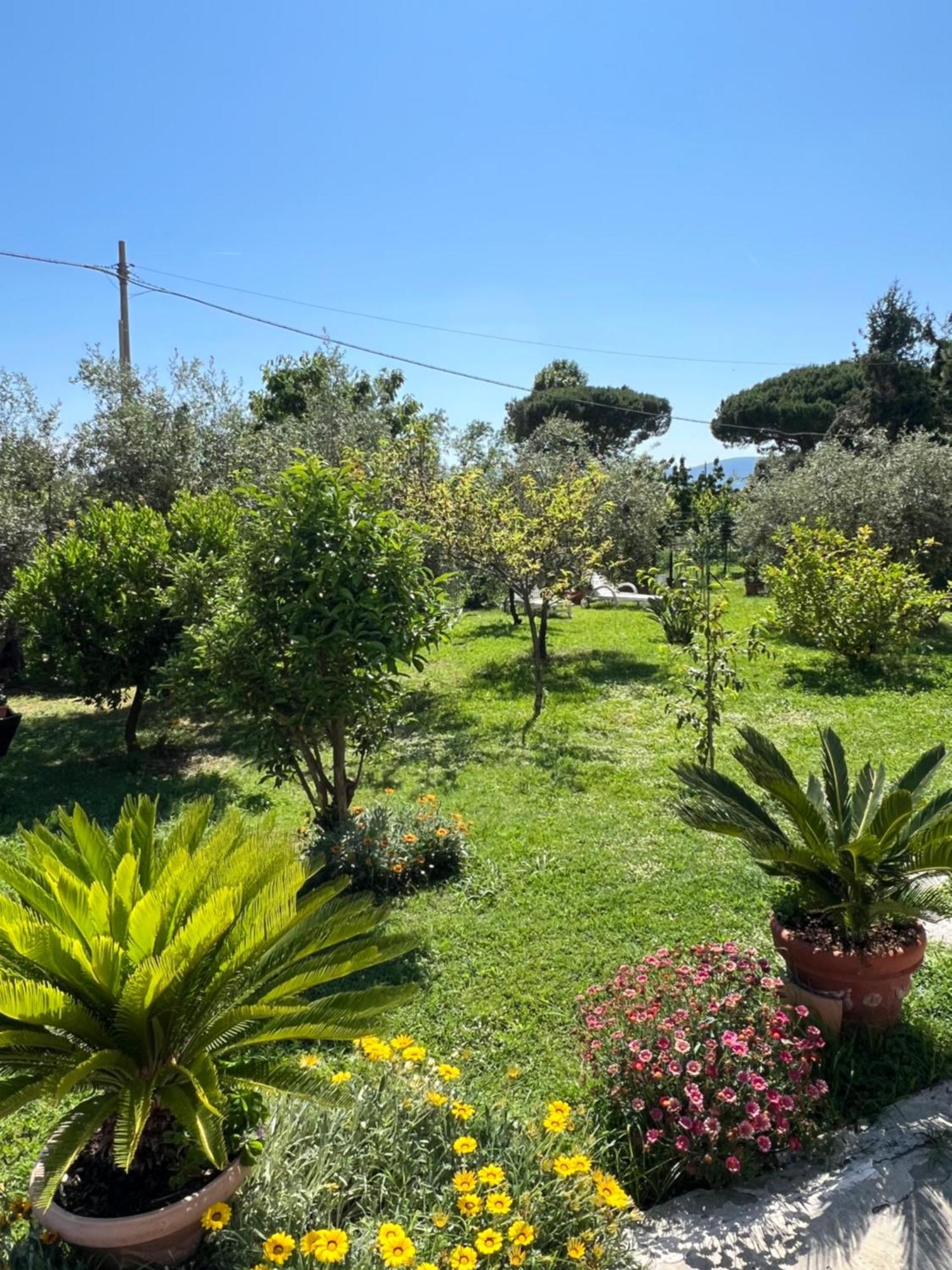 Ca Insulae Apartment Luni