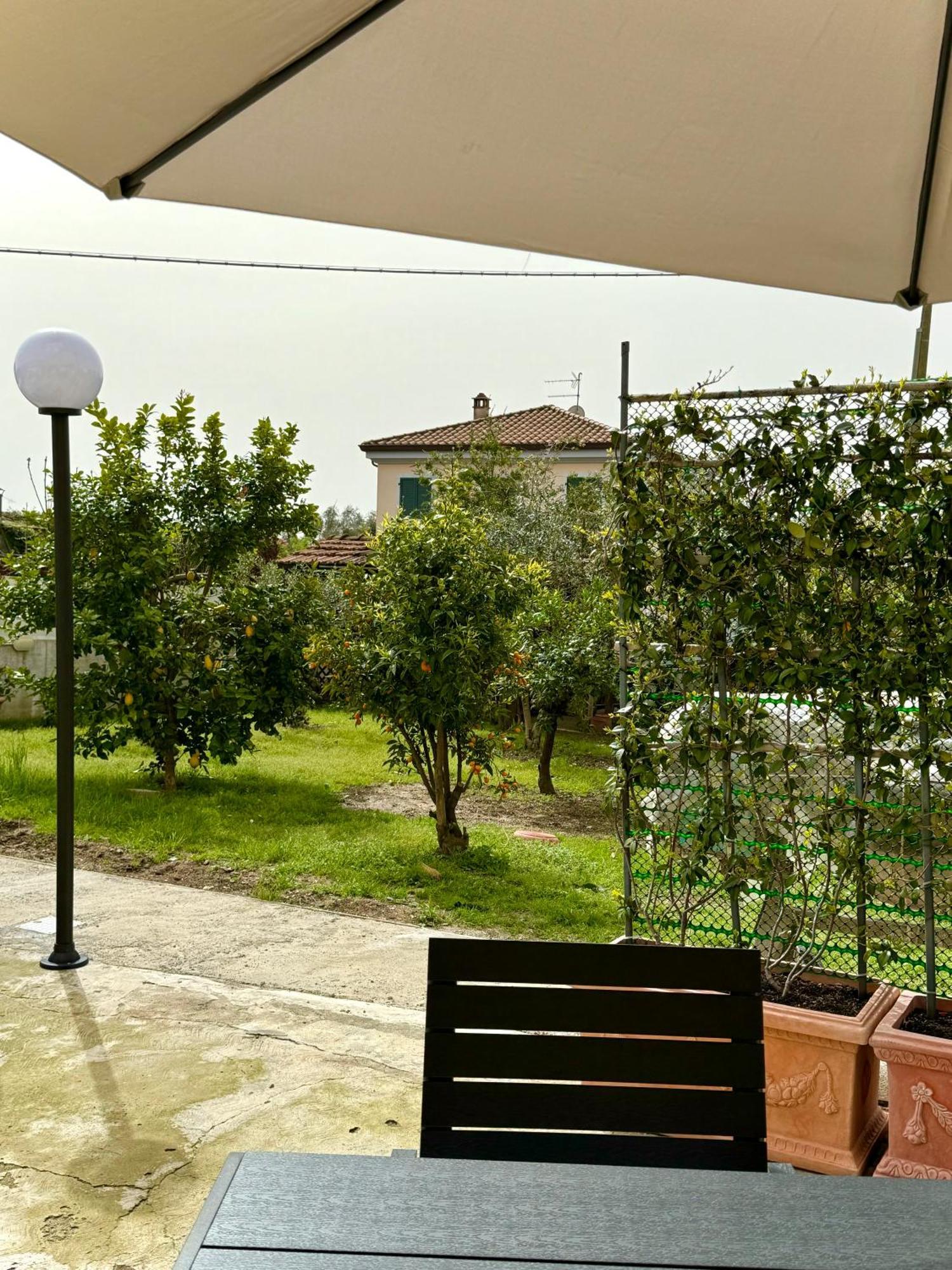 Ca Insulae * Luni